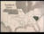 South carolina_tiny